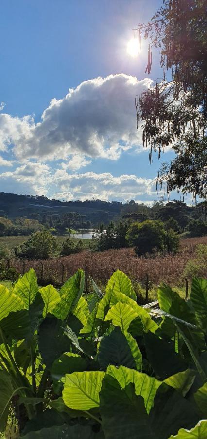 Loft No Campo Proximo Ao Vale Dos Vinhedos Villa Garibaldi Buitenkant foto
