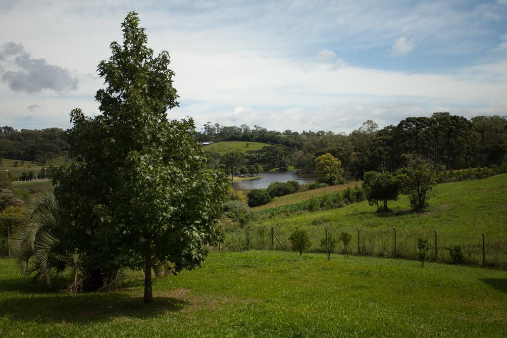 Loft No Campo Proximo Ao Vale Dos Vinhedos Villa Garibaldi Buitenkant foto
